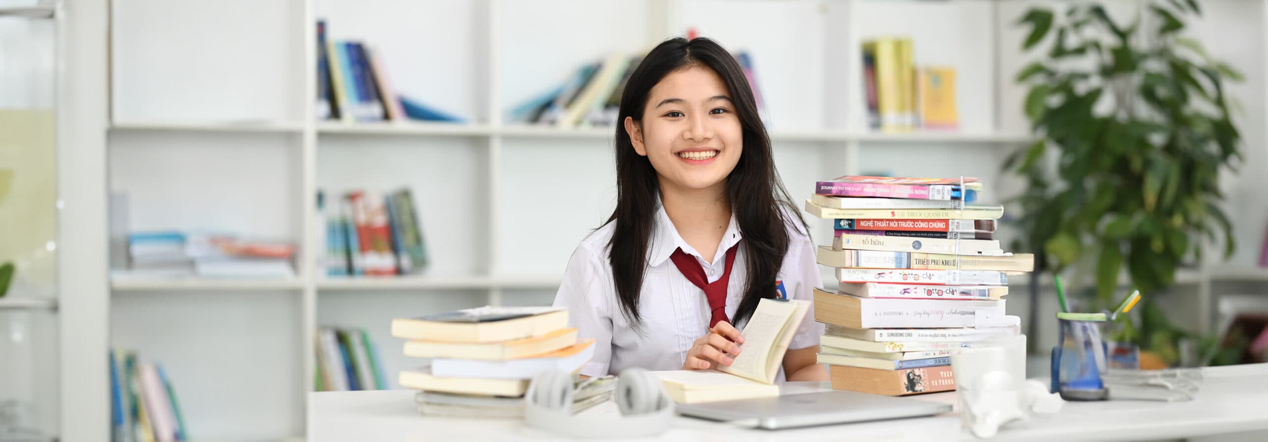 Trường Việt Anh 2